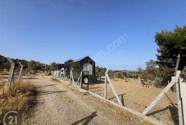 Urla Güvendik'te Deniz Manzaralı Arsa