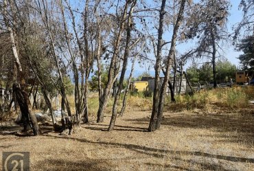 Urla Güvendik'te Deniz Manzaralı Arsa